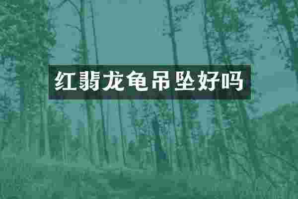红翡龙龟吊坠好吗