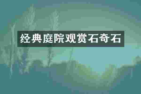经典庭院观赏石奇石