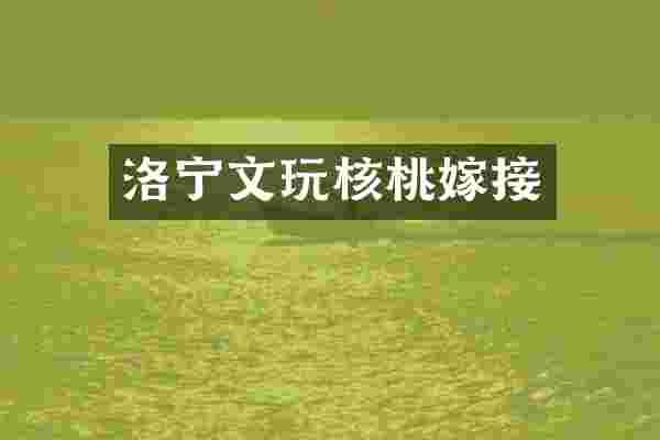 洛宁文玩核桃嫁接