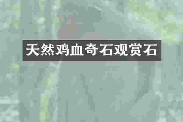天然鸡血奇石观赏石