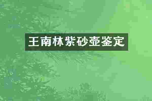 王南林紫砂壶鉴定