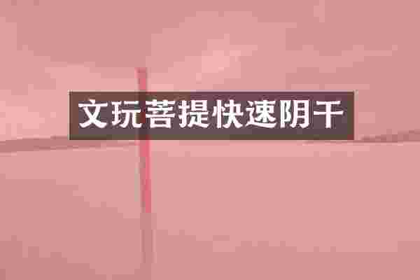 文玩菩提快速阴干