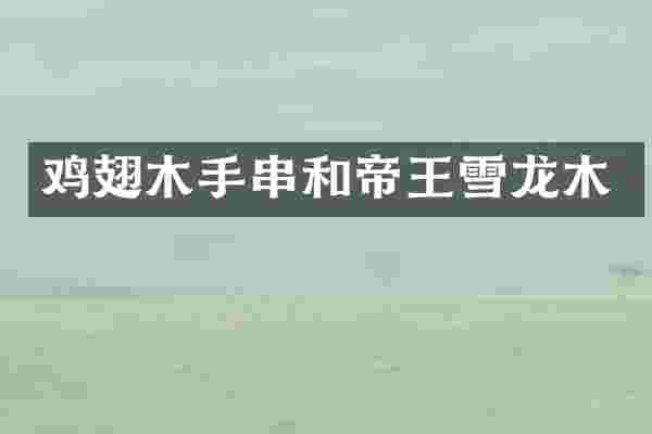鸡翅木手串和帝王雪龙木