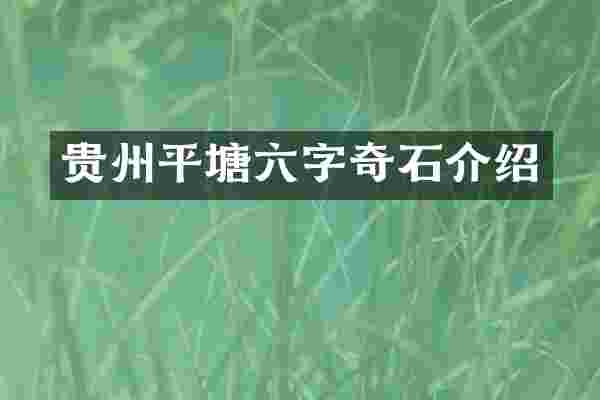 贵州平塘六字奇石介绍