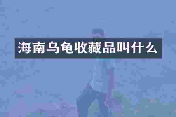 海南乌龟收藏品叫什么