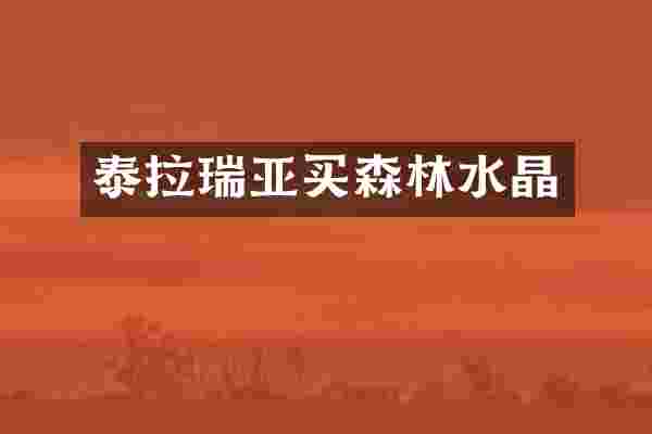 泰拉瑞亚买森林水晶