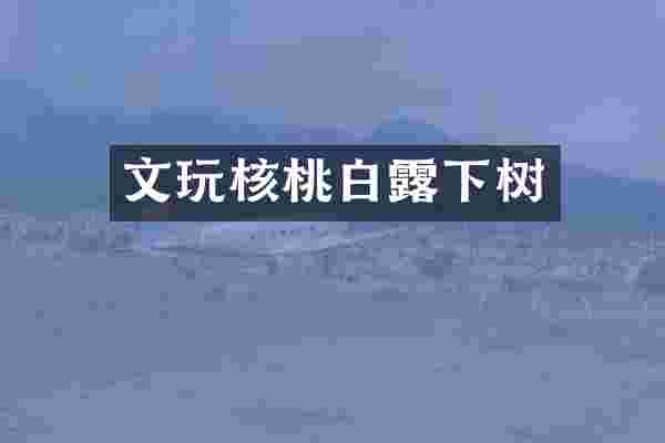 文玩核桃白露下树