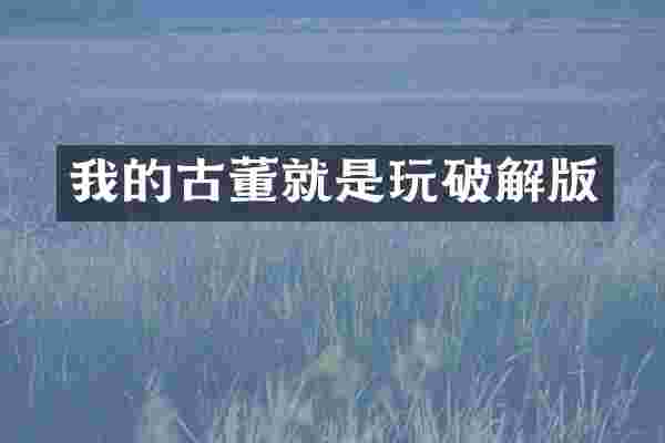 我的古董就是玩破解版