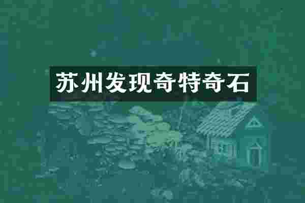 苏州发现奇特奇石