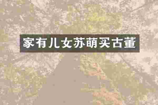 家有儿女苏萌买古董