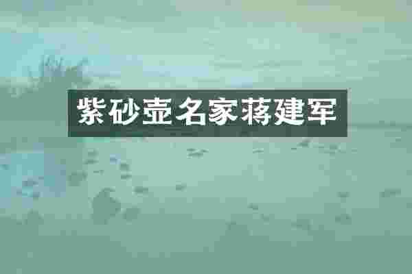 紫砂壶名家蒋建军