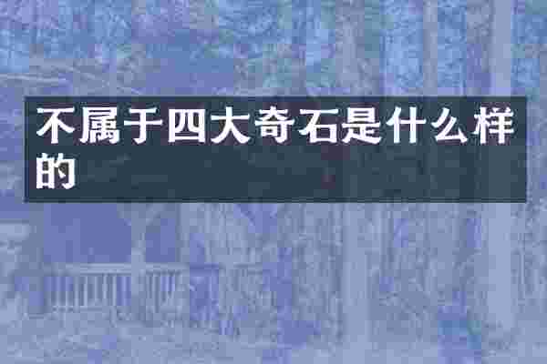 不属于四大奇石是什么样的