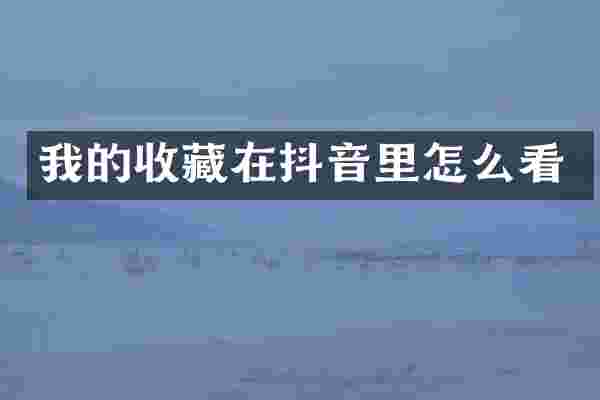 我的收藏在抖音里怎么看