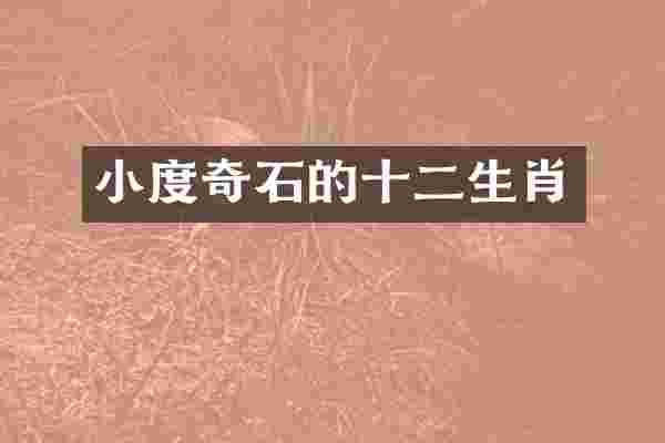 小度奇石的十二生肖
