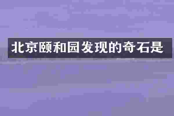 北京颐和园发现的奇石是