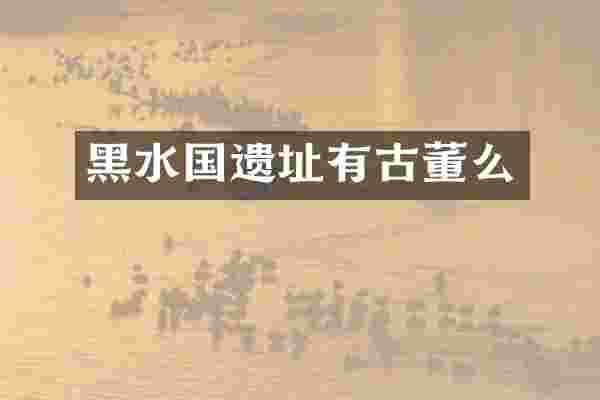 黑水国遗址有古董么