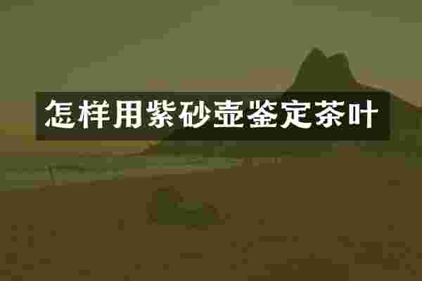 怎样用紫砂壶鉴定茶叶