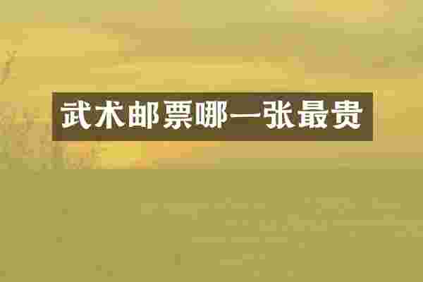 武术邮票哪一张最贵