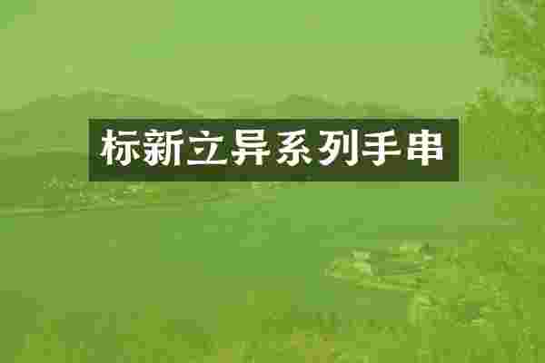 标新立异系列手串