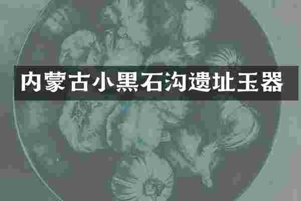 内蒙古小黑石沟遗址玉器