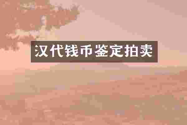 汉代钱币鉴定拍卖