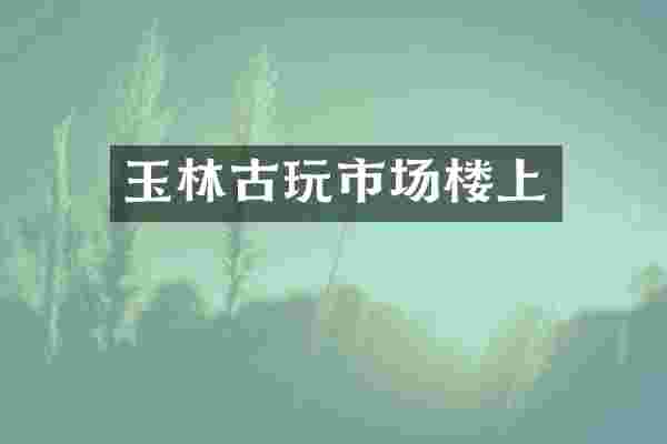 玉林古玩市场楼上