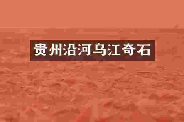 贵州沿河乌江奇石