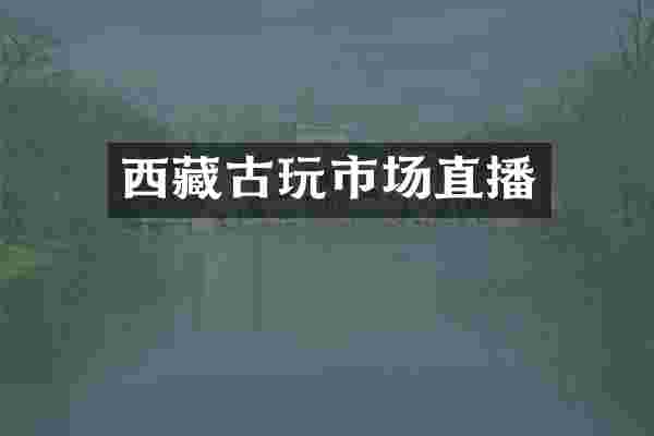 西藏古玩市场直播