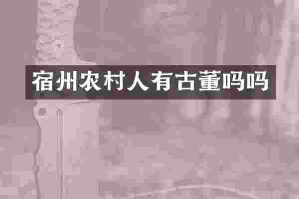 宿州农村人有古董吗吗