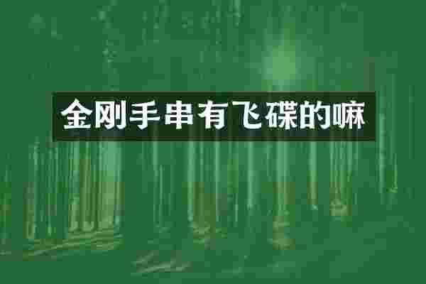 金刚手串有飞碟的嘛