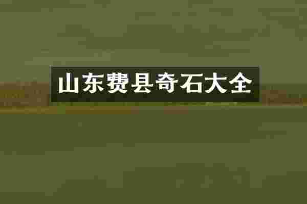山东费县奇石大全