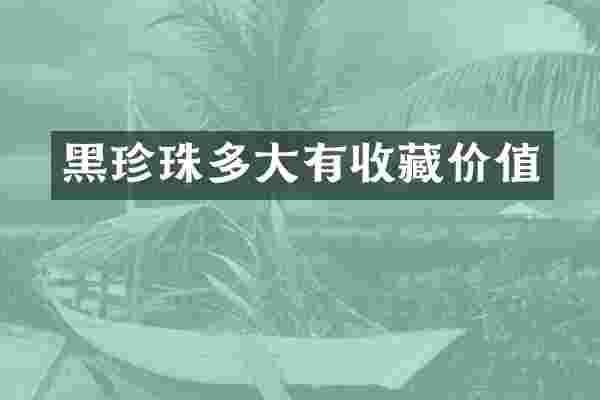 黑珍珠多大有收藏价值
