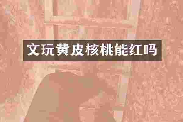 文玩黄皮核桃能红吗