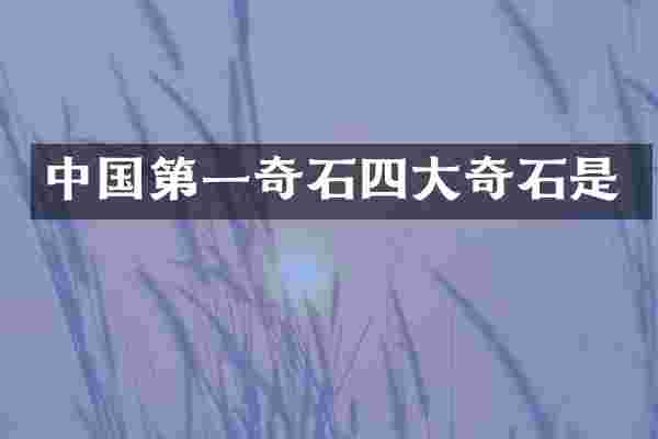 中国第一奇石四大奇石是