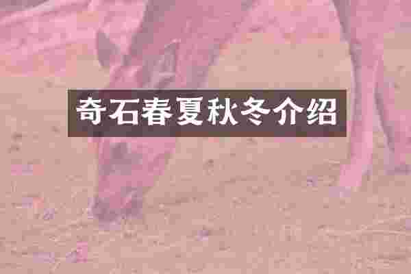 奇石春夏秋冬介绍