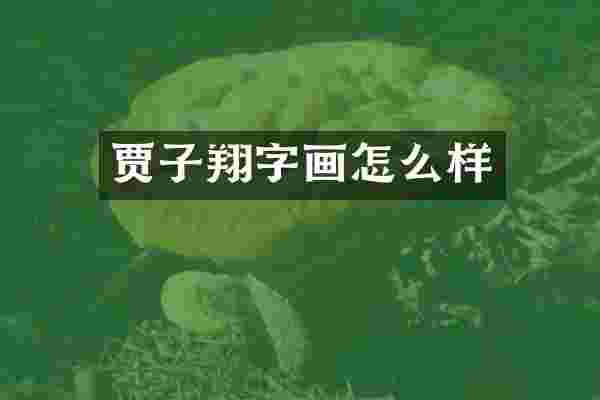 贾子翔字画怎么样