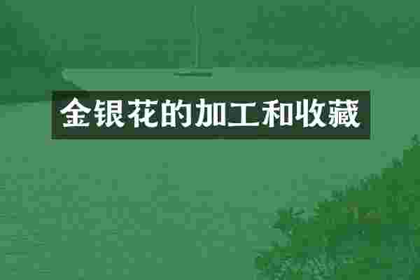 金银花的加工和收藏