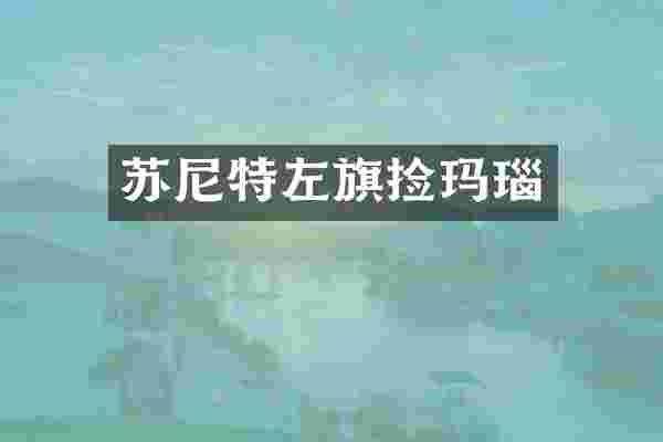 苏尼特左旗捡玛瑙