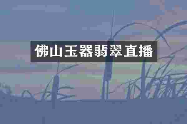 佛山玉器翡翠直播
