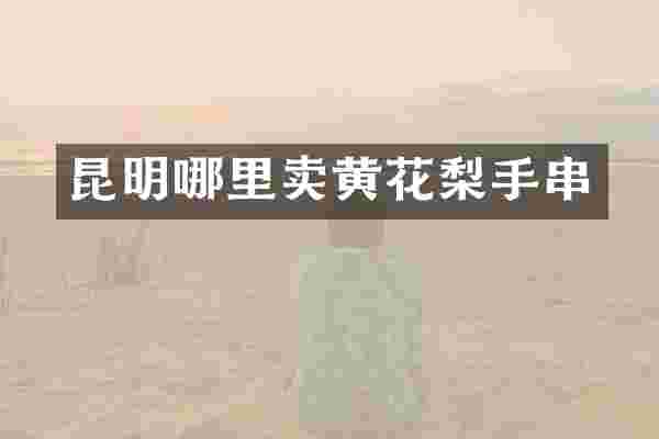 昆明哪里卖黄花梨手串