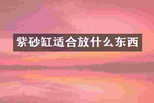 紫砂缸适合放什么东西