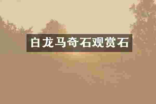 白龙马奇石观赏石