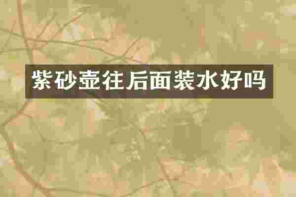 紫砂壶往后面装水好吗