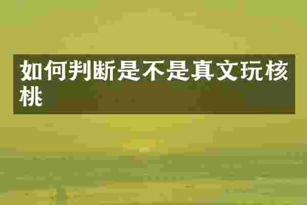如何判断是不是真文玩核桃