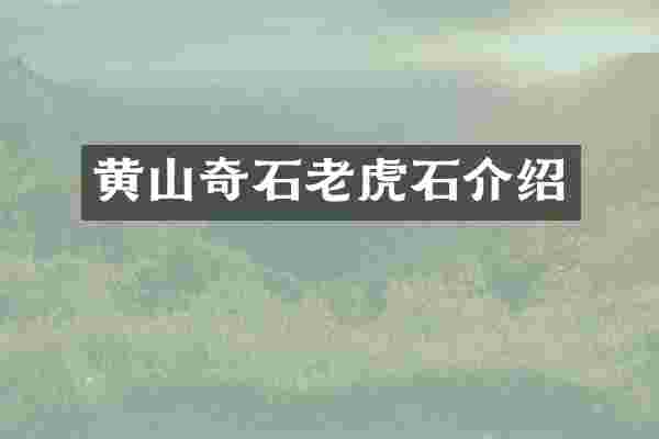 黄山奇石老虎石介绍