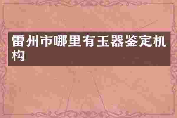 雷州市哪里有玉器鉴定机构
