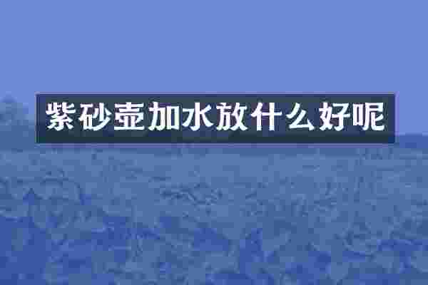 紫砂壶加水放什么好呢