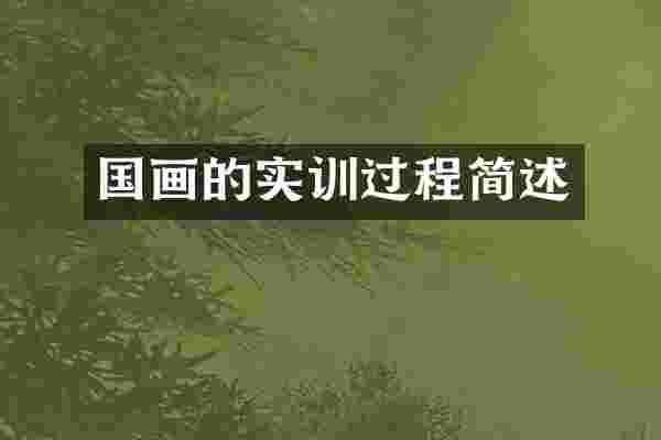国画的实训过程简述
