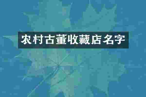 农村古董收藏店名字