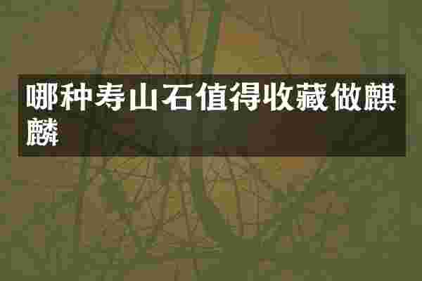 哪种寿山石值得收藏做麒麟
